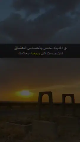 #رييعه_ديار_شمر 