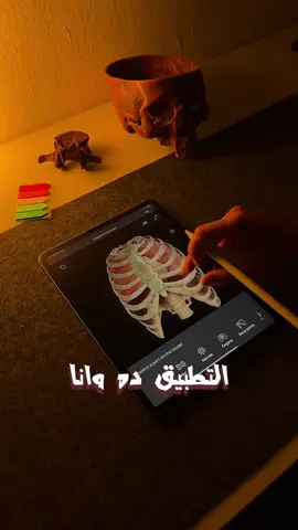 أطلس تشريح مجاني 😮