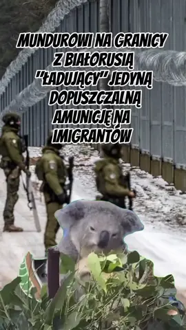 Patrząc na obecną sytuacje, jest to chyba najbardziej dyplomatyczne rozwiązanie, jakie zostało 🙃 #policijosmemos #polskapolicja #policja #wojsko #straz #graniczna #granica #polska #bialorus #imigranci #Meme #MemeCut #CapCut 