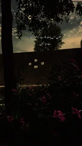 سکون اِس بات کا ہے ، دھوکہ کھایا  ہے دیا نہیں  #creatorsearchinsights#tiktokvideo #fry #foryou 