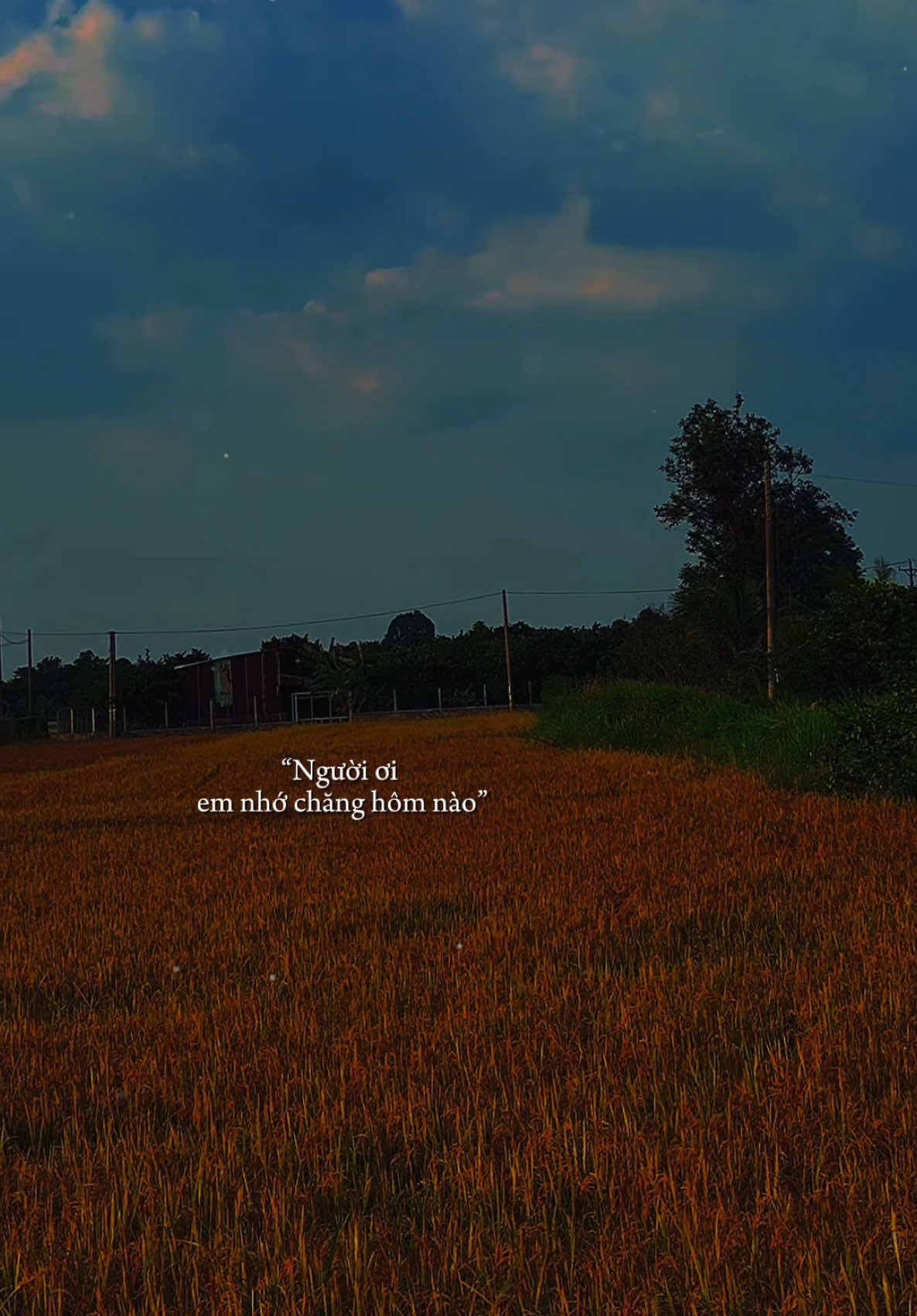 Người ơi em nhớ chăng hôm nào #nhachay #nhacnayhay #nhactamtrang #nhactamtrangbuon💔 #nhacnaynghelanghien #nhacnaychillphet #xuhuong2024 #xh #fyp #lyrics #quetoi067 