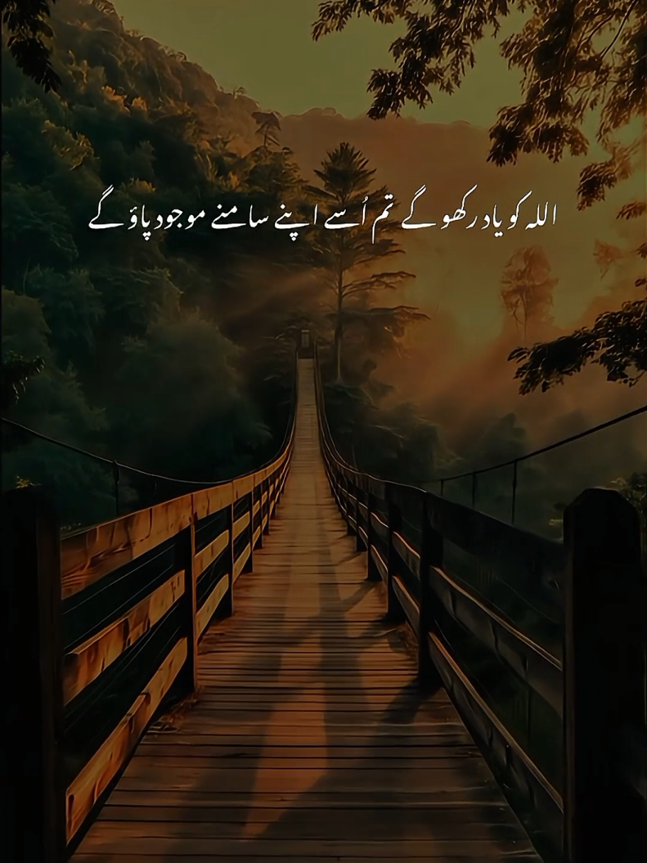 اللہ کو یاد رکھو گے تو اسے اپنے سامنے موجود پاؤ گے  | Dr Israr Ahmed | Emotional Clip . . . . #drisrarahmed #dr_israr_ahmed_lectures #dr_israr_ahmed #drisrarahmedsahab #ummatti #drisrarahmedsahb #drisrarahmed #dr_israr_ahmed #drisrarahmedofficial #dr_israr_ahmed_emotional_bayan #drisrarahmedofficialdrisrarahmedofficial #tabligh #drisrarahmedsahab❤️❤️ 