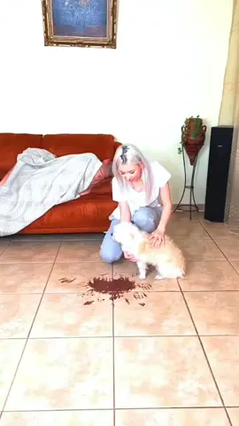 #foryou #fyp #foryoupage #prank #funny #funnypranks #scared #fail #scarepranks #viral #tiktok 