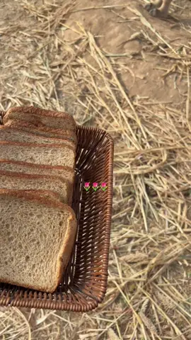 _alameria.2 #myfevorate #fypシ #fyp 