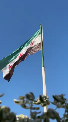 #مالي_خلق_احط_هاشتاقات🧢