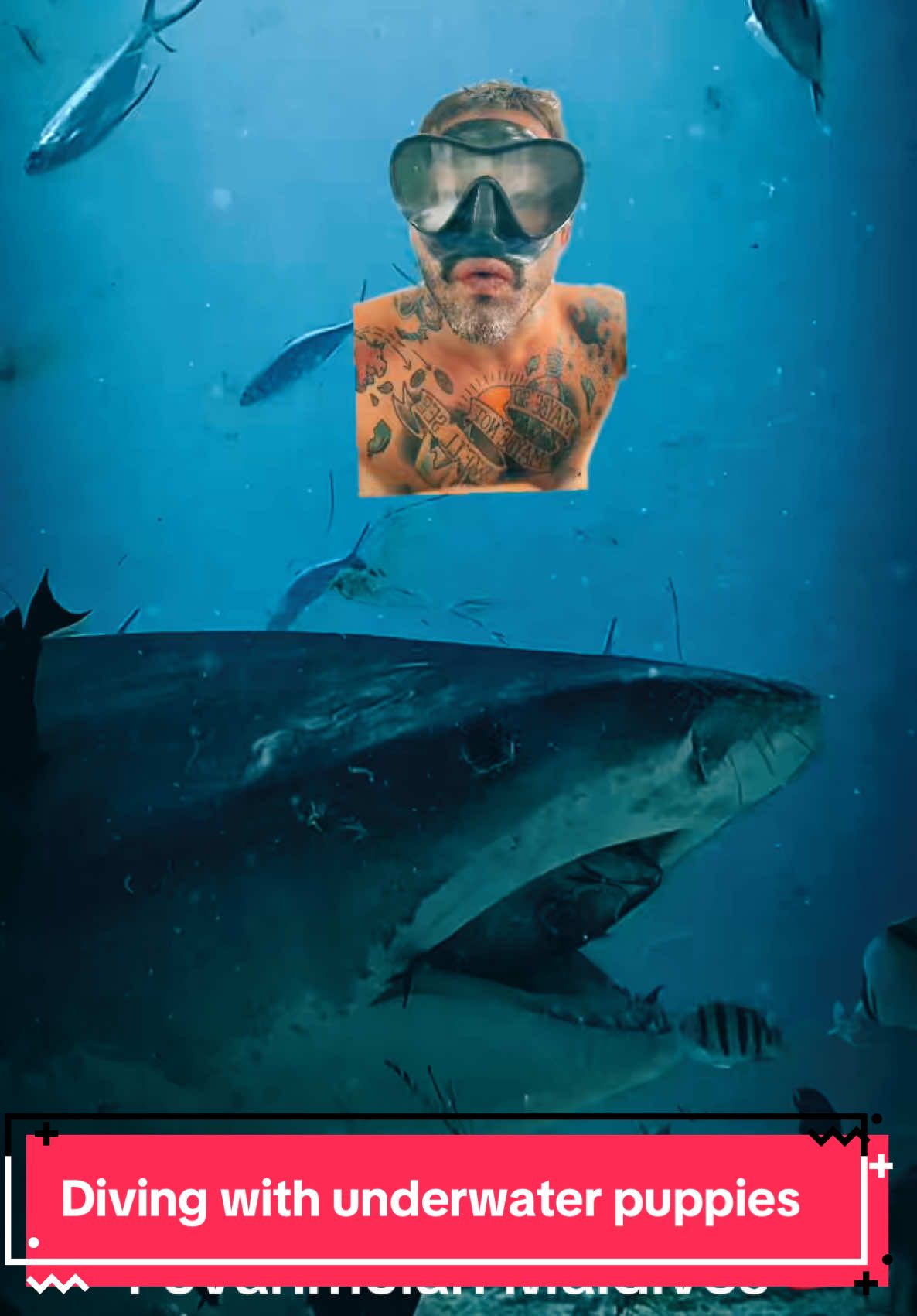 They’re only gonna “completely destroy you” if you’re not respecting their presence & power. Sharks are just like extremely misunderstood big puppies. They don’t want you… they’re just curious. #greenscreenvideo #tigershark #scuba #fuvahmulah  