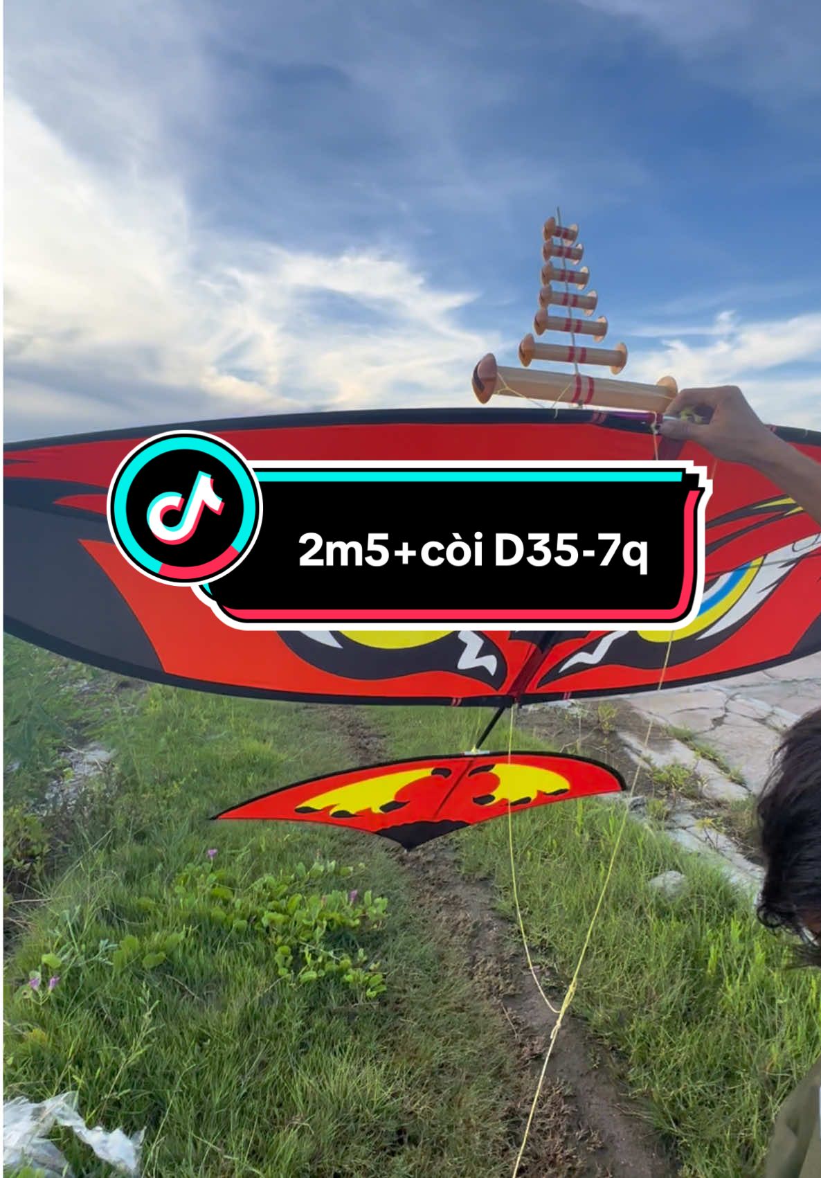 Cú đỏ 2m5 + còi D35-7q#dieusaothaibinh #dieusaovietnam #dieusaothainguyen #tiktok #xuhuong 