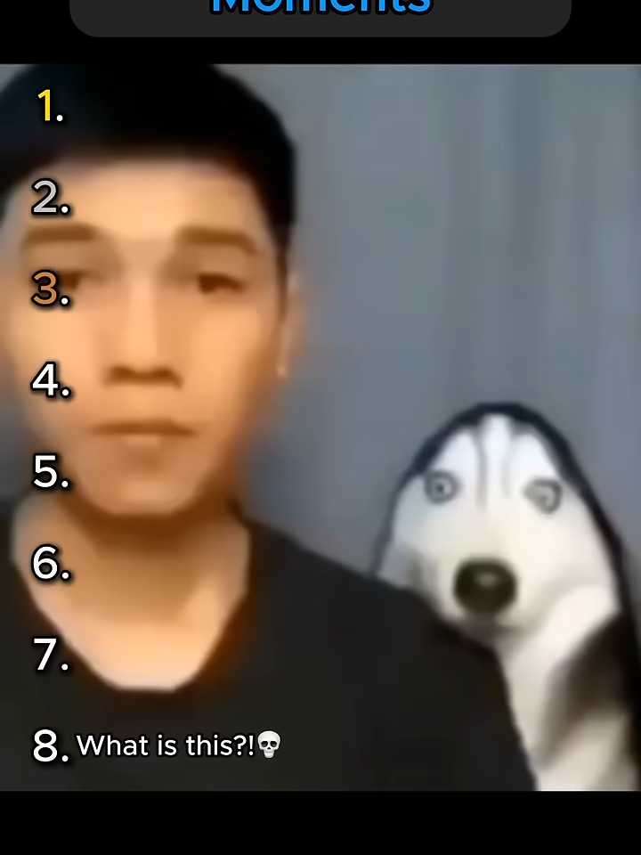 Top 8 Random Dog Moments🤣.. You wont stop laughing#xh #xhtiktok #xhuong #fyp #fypシ #foryou #viral #memes #funny #funnyvideos