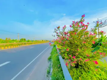ফুল পছন্দ করা মেয়ে গুলা ফুলের মতোই সুন্দর হয়😌🫶#Foryou #vairal_video #fypppppppppppppppppppppp 