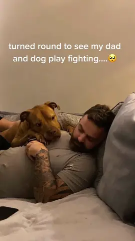 The dog just wants to be with his daddy🤣 #dog#funny#funnyanimals#funnypets#animals #dogsofttiktok #pet #foryou #longervideos 