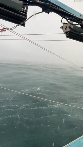 mưa gió quá các bác ơi 🥲 #xuhuong #danbien86phuquy #danbien #🌊 