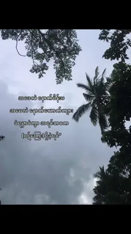 ပင့်ကူအိမ်တွေဖျက်စီးမိခဲ့လို့ထင်ပါတယ်ဗျာ”#fyppppppppppppppppppppppp #foryoupage #fyp #trending #tiktok 