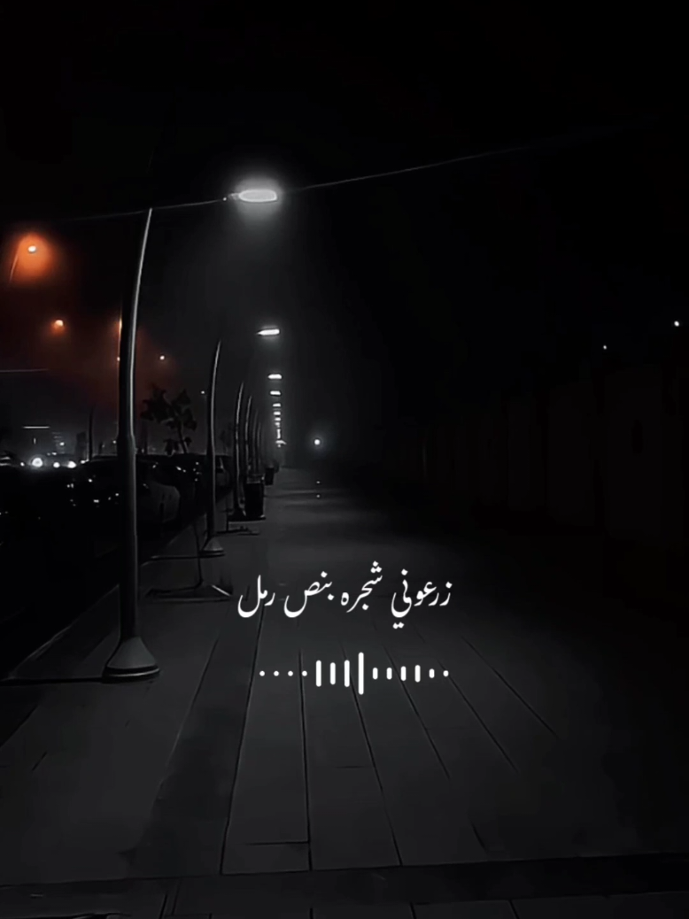 #اغاني_عراقيه #سيف_عامر #زرعوني_شجره_بنص_رمل #دعمكم_ورفعولي_فديو #اكسبلور 