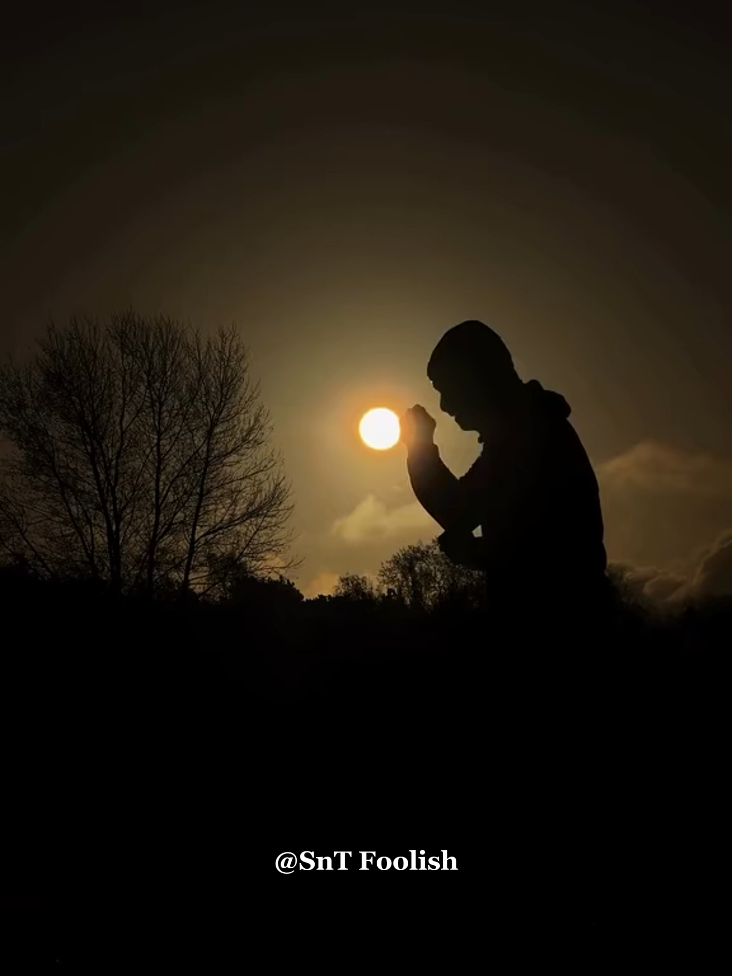 Cày nhiều lên... Thành công sẽ đến vào một ngày không xa! #SnTFoolish #danfoolishpodcast #tapluyen #donglucmoingay #dongluc #xuhuong