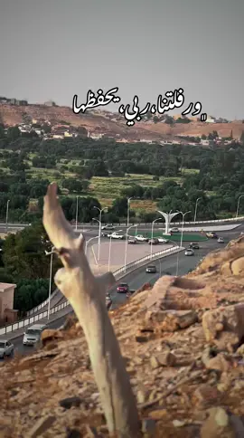 #ورفله_العز_الرصيفه_بني_وليد #بني_وليد_عشق_لاينتهي_💚💚 #سرتنا_سرت_ليبيا💚🌻 