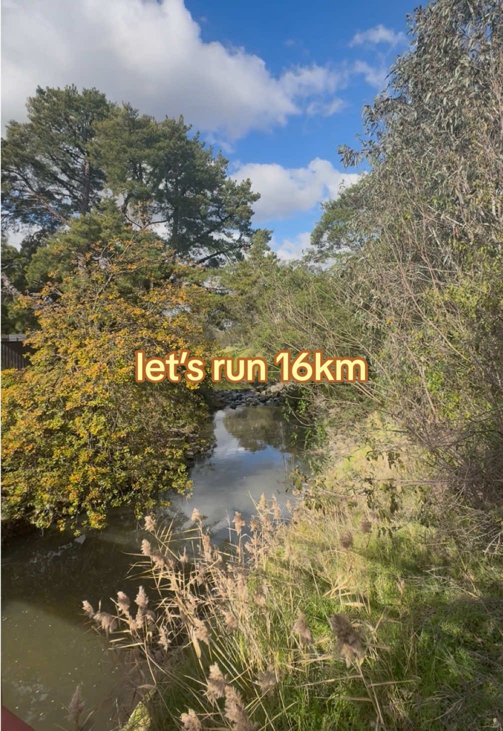 week 11/17 marathon training mid week run🏃🏼‍♀️🌳 #marathontraining #Running #runtok #uni 
