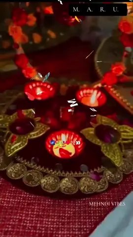 ......MEHNDI VIBES #pleasefollowandsupportme🙏  #maru❤️🌺tiktok  #maru👑👑  #weddingevent  #marufam💫 