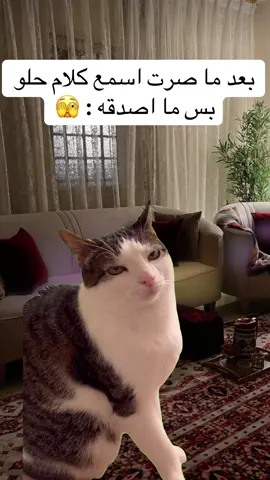 #الشعب_الصيني_ماله_حل😂😂 #تيك_توك #تصميم_فيديوهات🎶🎤🎬 #اكسبلور 