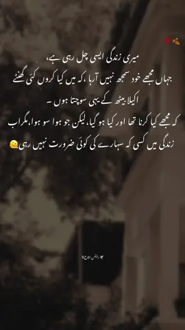 جنازہ بہت بھاری ہوگا میرا یقین جانو میں سارے ارمان ساتھ لے کر مر جاؤں گا🥺🥀 #foryoupageofficiall #shayri #poetry #Sعdiرائیٹس 