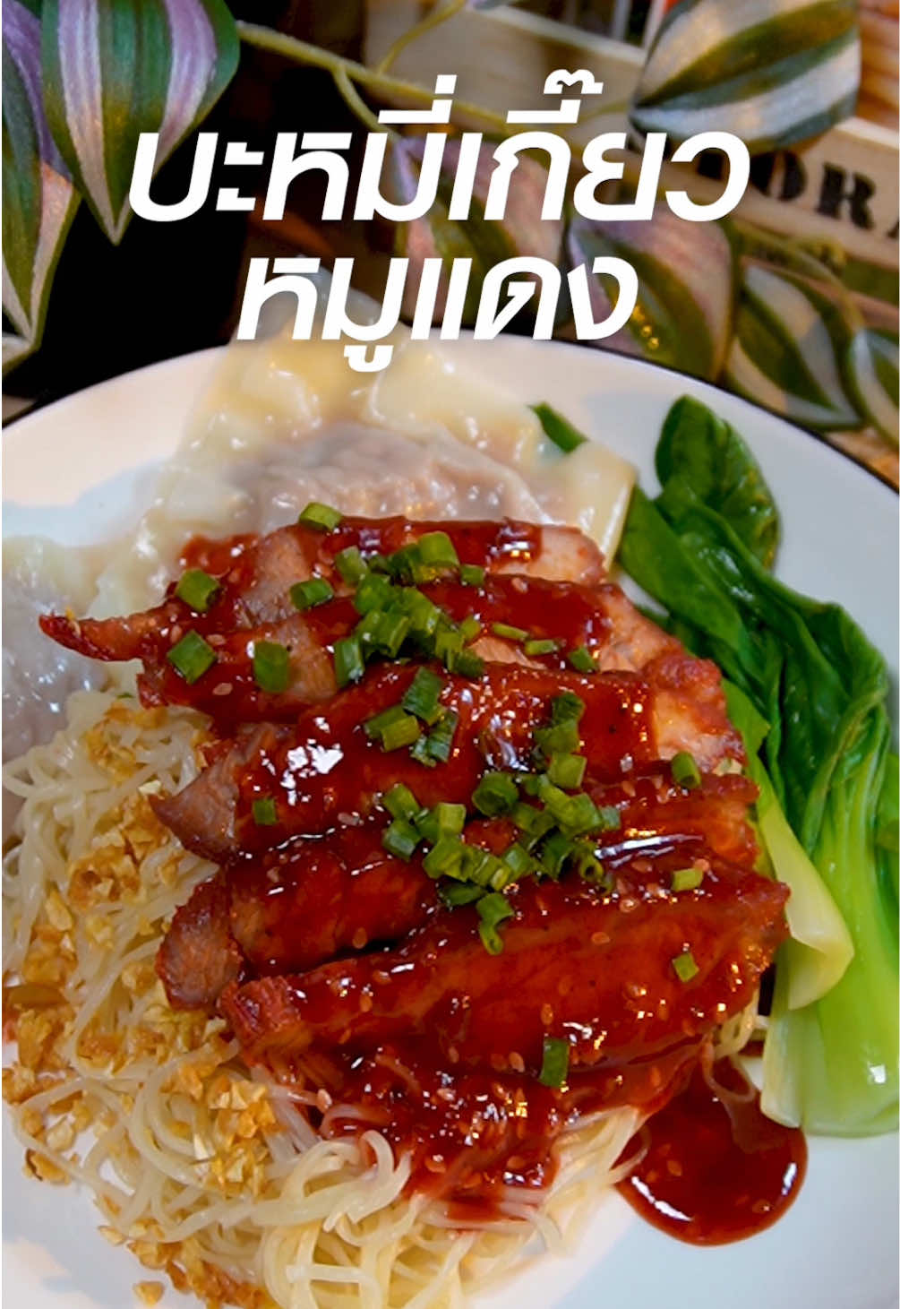 ”บะหมี่เกี๊ยวหมูแดง“ ใครว่าทำยาก วัตถุดิบไม่เยอะ แถมยังได้กินเยอะจุใจอีกด้วย😋 #โลโบ #Lobo #หมูแดง #ผงทําหมูแดง #ข้าวหมูแดง #ห้องครัวtiktok #เมนูง่ายๆ #อาหารทำเอง #อร่อยบอกต่อ #สูตรอาหาร #บะหมี่หมูแดง #บะหมี่เกี๊ยวหมูแดง 