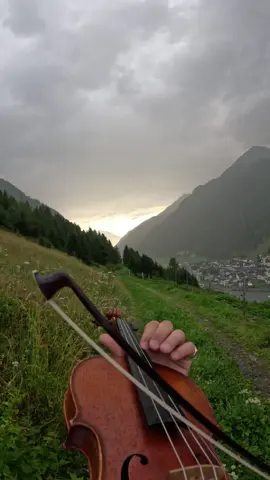 Golden Brown babyyyy #violin #fantasy 