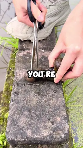 #reddit #redditstories #RedditGold #ViralStories #TrendingTales #StoryTime #MindBlowingReddit #EpicReddit #RedditDeepDive #hiddengems #storytelling #fyp #viral #explore #fypシ #foryou #RedditStories #TikTokReddit #StoryTime #TrueStory #RedditTales #ShareYourStory #TikTokTales #RealLife #LifeStories #Storytelling #CommunityStories #RedditThreads #Anecdotes #SliceOfLife #Narrative #FromReddit #ExperienceShare #ViralStories #HumanExperience #DailyStories #RedditRecap #TikTokNarratives #Storytellers #UniqueExperiences #InspiringStories #EmotionalJourney #EyeOpening #UnbelievableStories #MemorableMoments #StoryCommunity #HeartwarmingTales #MindBlown #LifeLessons #WisdomFromReddit #InspirationalStories #StoryTimeWithReddit #StoryHour #UnexpectedTurns #JawDroppingMoments #LifeReflections #StoryCorner #FascinatingStories #RedditNarratives #ShareYourExperience #LifeAdventures #AmazingStories #StoryLovers #RedditGems #ShareYourJourney #TikTokStorytime #USA #America #American #UnitedStates #usa_tiKtok