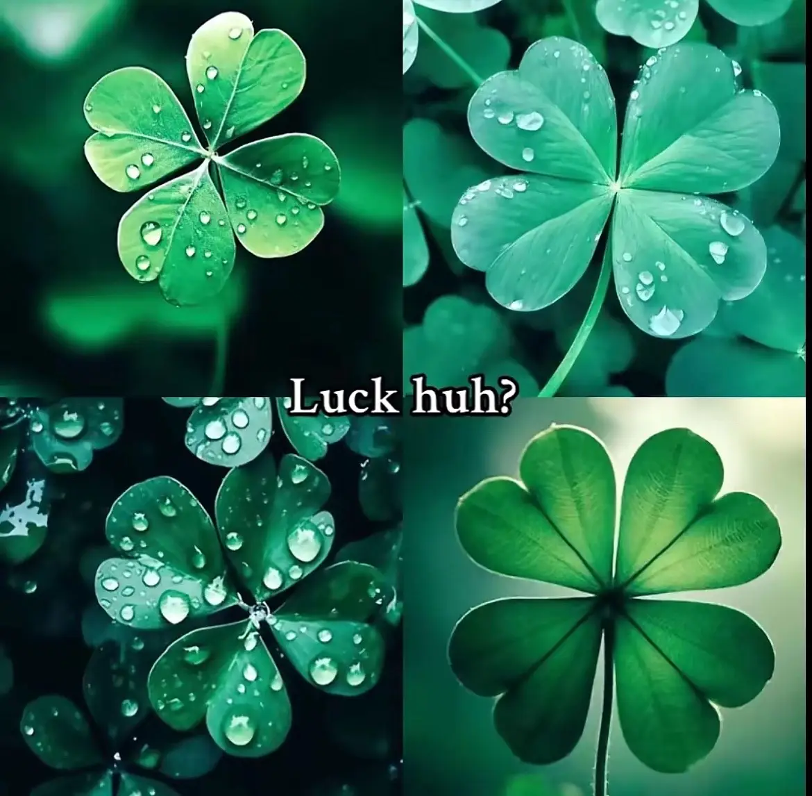 #coreyxkenshin #god #jesus #bible #God #gosple #Gosple #Lord #lord #jesuschrist #Jesuschrist #verses #Verses #heaven #Heaven #Amen #amen 