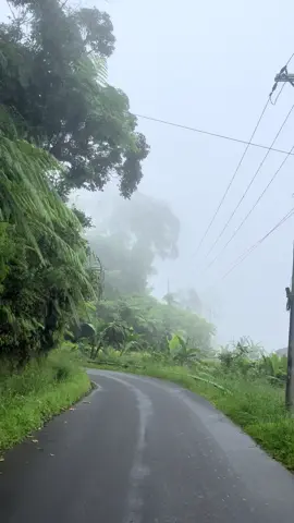 #4u #fyppppppppppppppppppppppp #fyp #sulawesi #kelapadua #mamasa 