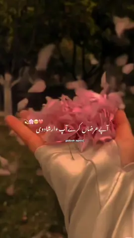 Tere wargi aye bilkul teri yaad v❤️#song #status #punjabisong #viralsong #lovesong #aesthetic#gulaab_typist2