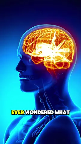 What Happens To Brain During Stroke (3D Animation) #brainstroke  #strokeawareness  #brainhealth #strokesymptoms  #stroke  #3dmedicalanimation  #medical3danimation 