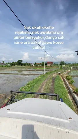 Pamah to tko kne?#combineharvester #katakata #fyp #fypシ゚viral 