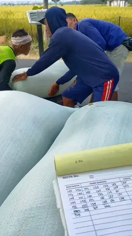 Regane kon nulis dewe😁🌾 . . . . .#berkahgabahgank⚡ #sopirtrukpunyacerita #viraltiktok #sopirbukankriminal #fypシ゚ #fyp #fypage #likeaboss #masukberandafyp #xyzbca #likes #panenpadi🌾🌾 #trukmaniaindonesia #jelajahsawah 