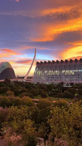 Where is heaven? ##spain #me #valencia #sunset #yo 