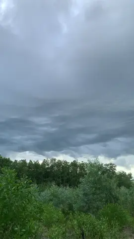 Rồng xuất hiện..mn chú ý giây 45 #xuhuong #rồng #fyp 