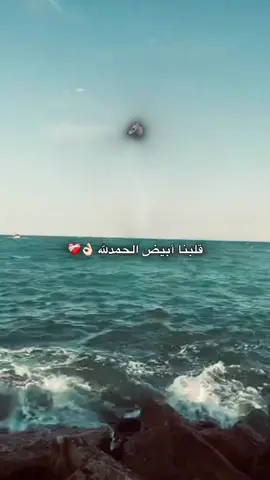 قلبنا ابيض الحمدلله 