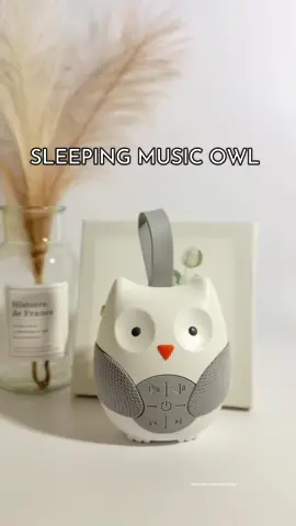 Prenatal Music for  your baby's brain development. must-have baby items #baby #braindevelopment #momlife #babymusthaves #musicowlforbaby #sleepingmusicowl #babytips 