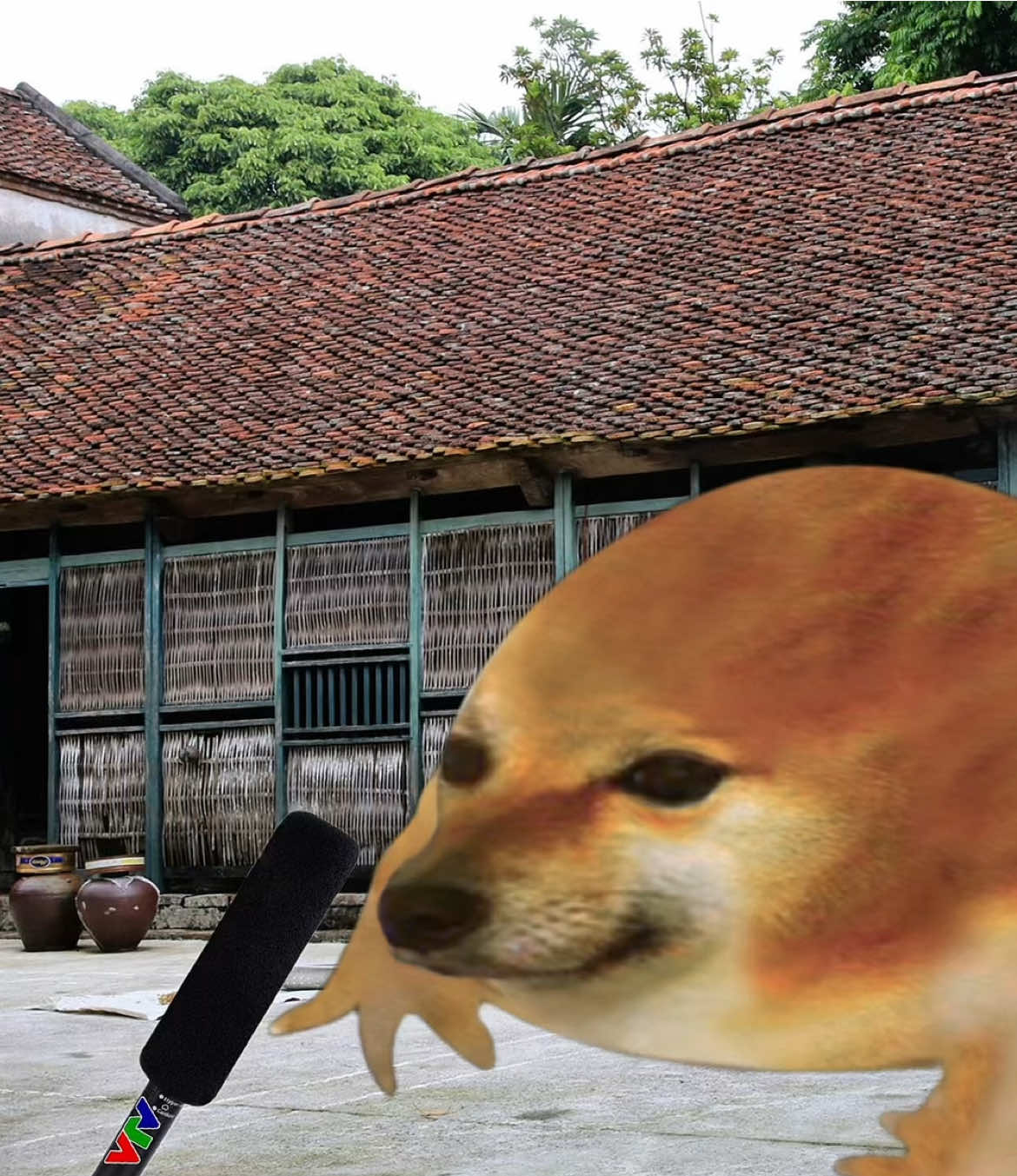 GOAT game thủ 🐐🗿 #xh #haihuoc #fyb #meme #cheems #memes #game #nghiengame #gamethu #tuyenquangminhnhan #cayket 