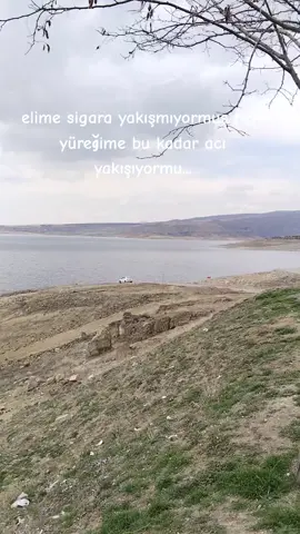 #kayserili38🇹🇷kesfett #kayserili38🇹🇷 #kayserili #keşfetedüş #keşfetteyizzz #keşfet 