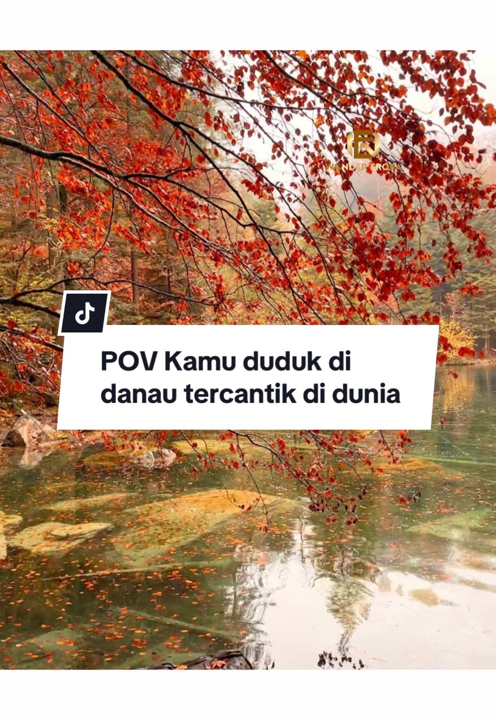 Healing terbaik sih ini.. sunyi, tenang dan damai.. 📍This is Blausee. Dan kamu juga bisa ke sini. Yuk rencanakan healingmu bareng kita langsung chat aja ✨  #wonderfulplaces #wondereropa #hiddengem #blausee #tiktoktravel #natureescape #fyp#travelagent #
