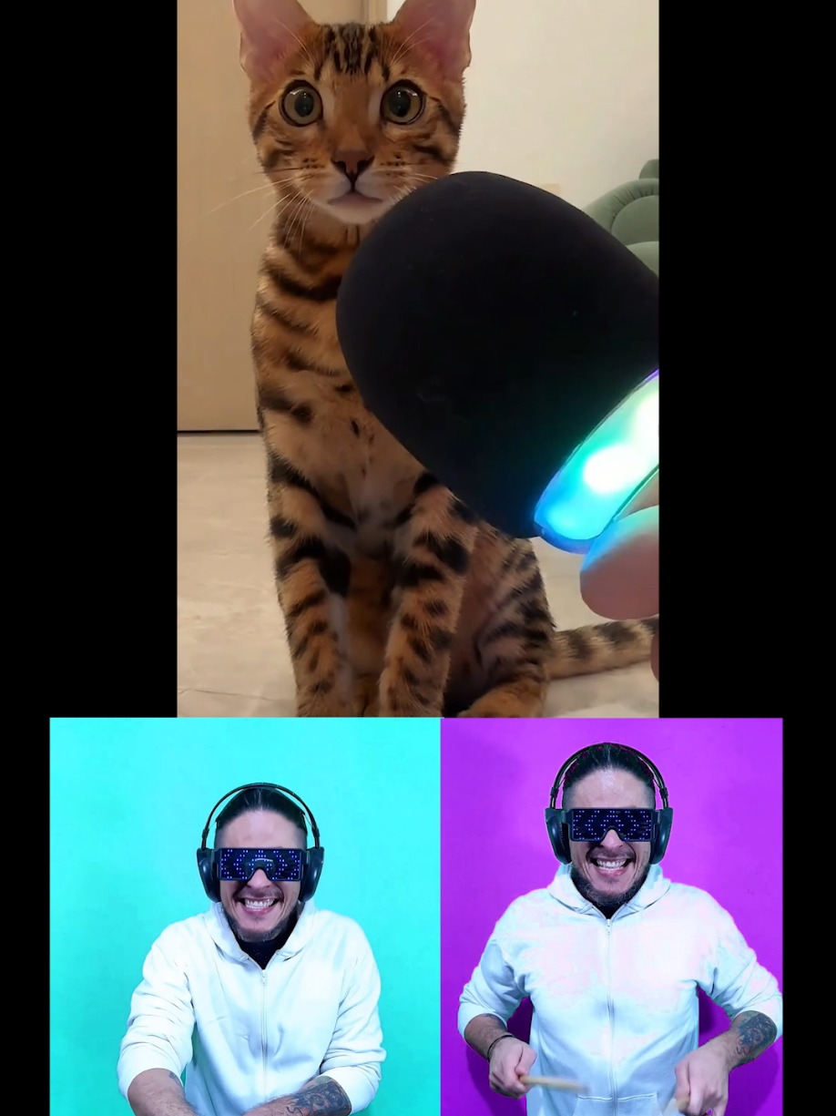 😸🎤#remix #atilakw #catsong #cats #gatos #gatostiktok 