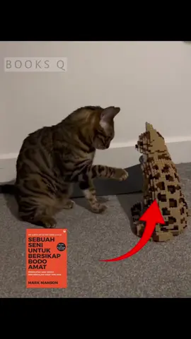 Meowing 🤫🧏 #book #buku #BookTok #memestiktok #memes #SelfImprovement #SelfCare #cat #kucing #cats #kucinglucu 