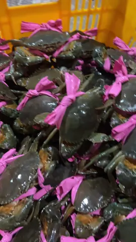 #cuacamau🦀🦀🦀🦀🦀🦀 