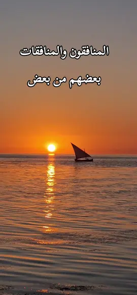 ما تيسر  من #سورةالتوبة  #قرآن_كريم #قرآن #سبحان_الله_وبحمده_سبحان_الله_العظيم #foru 