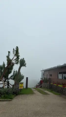 This kind of weather ☁️☁️  #kapatagandigoscity #berriesfarm #pabukid #balutakay #seaofclouds #foggy #digos 