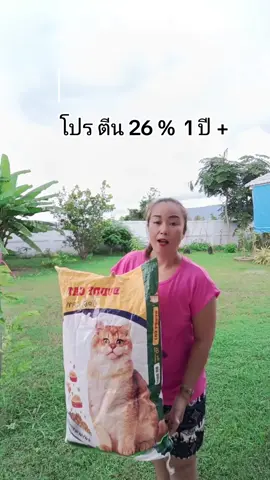 #อาหารแมว #อาหารแมวบัดดี้แคท #บัดดี้แคท #บัดดี้แคทรสปลาแซลม่อน #ทาสแมว #แก้วจ๋า_พารีวิว #ทีมแม่เบนซ์ 
