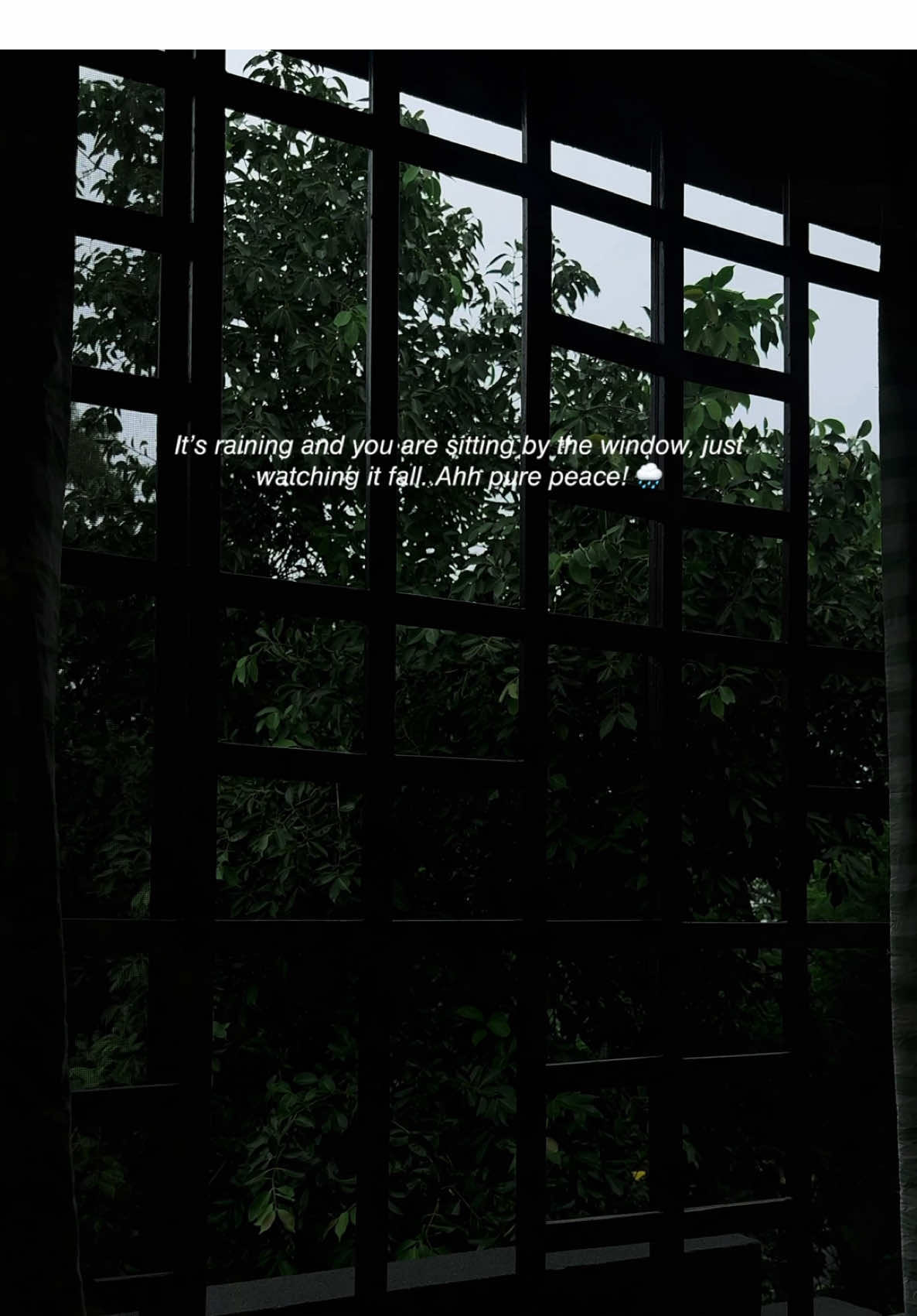 It’s raining and you are sitting by the window, just watching it fall. Ahh pure peace. No noise. No rush. Just the sound of raindrops. You hold a cup in your hands, maybe tea, maybe coffee, it doesn’t matter. What matters is this quiet moment. You look outside and forget all your worries. The world looks softer in the rain. The trees dance gently, the streets shine and the air smells like fresh earth. In this moment, nothing else exists. No sadness, no pain, no past. Just you, the rain and peace. You close your eyes for a second and take a deep breath. You feel calm. You feel safe. Not every day is like this. But when it rains, your soul finds something it lost, a little calm, a little light!🌧️  #aestheticvideos #aestheticvroo #foryou #rain #moonsoon #rainsongs #tumheho #baarish 