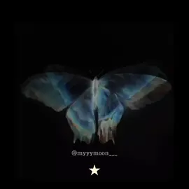 10:13 #lyricsvideo #nevertheless #apesardetudoamor #songkang #fyp 