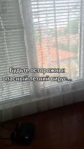 #рекомендации #приколы #шутки #подписка 