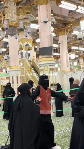 Take me back ya rabb🤲🏻#umroh2025#raudhah#fypシ゚viral 