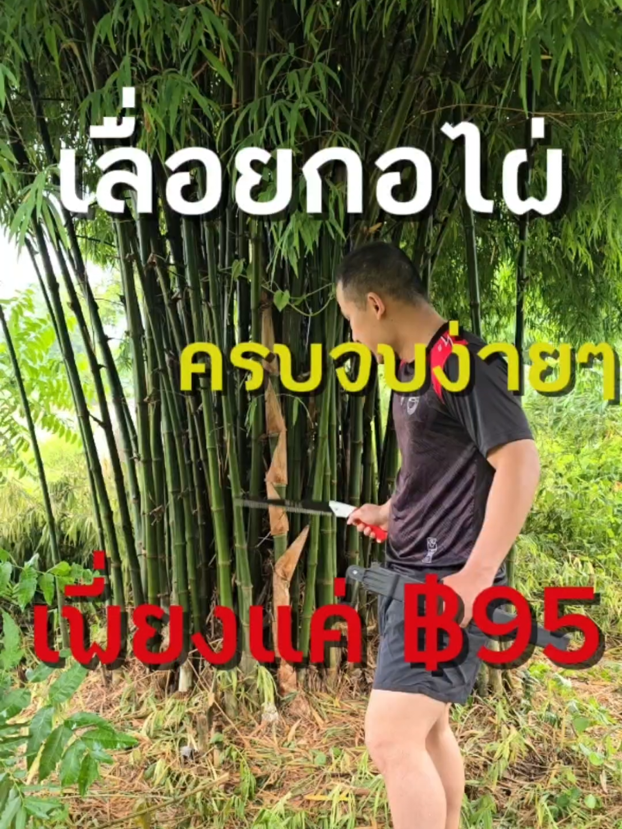 เลื่อยแตงกิ่งไม้ #ขึ้นฟีดเถอะ #เปิดการมองเห็น #เลื่อยไม้ #เลื่อย 